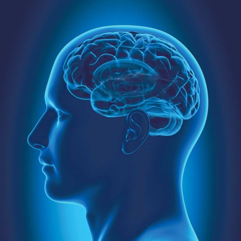 How Hearing Loss Changes Your Brain Illustration of a head with the brain visible