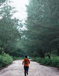 A jogger running in the woods.