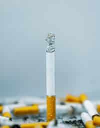 A bunch of cigarettes against a white background.