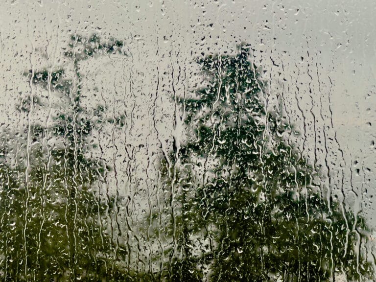 Raindrops on window Raindrops on window